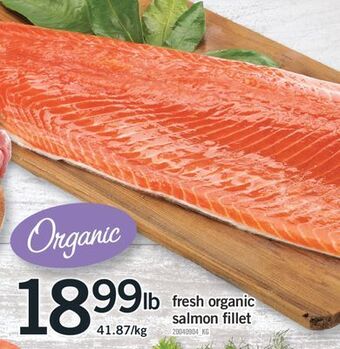 Fortinos Fresh organic salmon fillet offer
