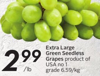 Sobeys Extra large green seedless grapes offer