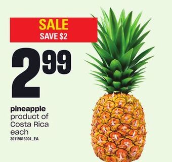 Loblaws Pineapple offer