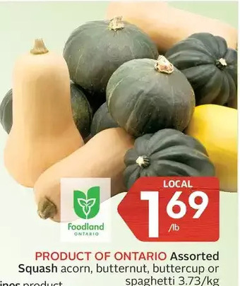 Foodland Assorted squash acorn, butternut, buttercup or spaghetti offer