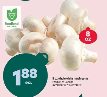 Giant Tiger 8 oz whole white mushrooms offer