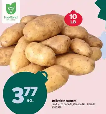 Giant Tiger 10 lb white potatoes offer