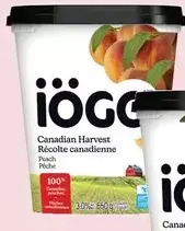 Giant Tiger Iögo yogurt offer