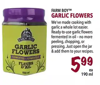 Farm Boy Farm boy garlic flowers offer