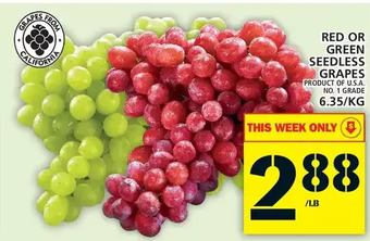 Food Basics Red or green seedless grapes offer