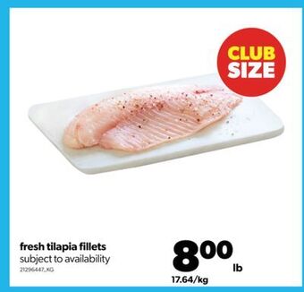 Real Canadian Superstore Fresh tilapia fillets offer
