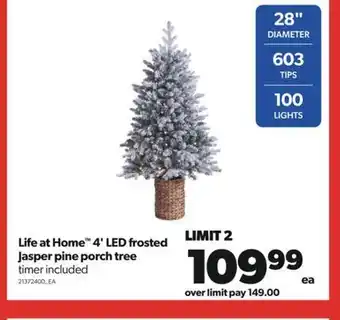 Real Canadian Superstore Life at home™ 4' led frosted jasper pine porch tree offer
