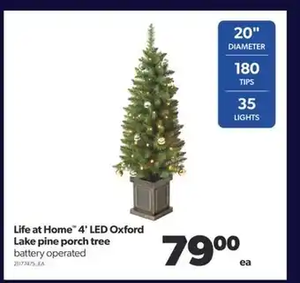 Real Canadian Superstore Life at home™ 4' led oxford lake pine porch tree offer