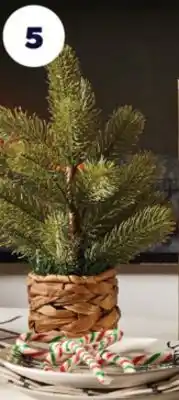 Real Canadian Superstore Life at home™ seagrass pot pine tree, 12 inch offer
