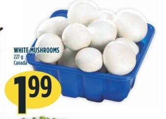 Marché Adonis White mushrooms offer