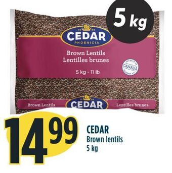 Marché Adonis Cedar brown lentils offer