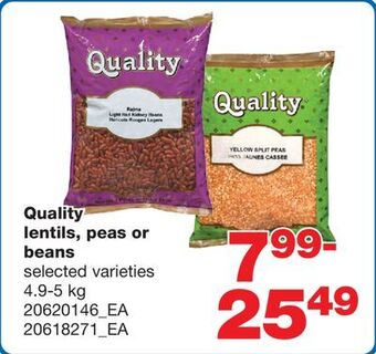 Wholesale Club Quality lentils, peas or beans, 4.9-5 kg offer