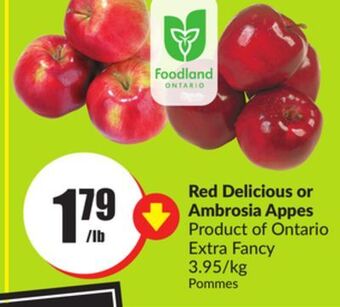 Chalo FreshCo Red delicious or ambrosia apples product of ontario extra fancy 3.95/kg offer