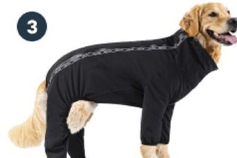 Petvalu Canada pooch fall apparel & accessories offer