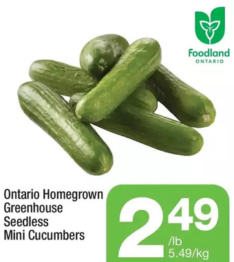 Highland Farms Ontario homegrown greenhouse seedless mini cucumbers offer