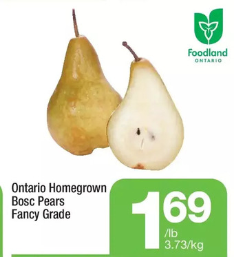 Highland Farms Ontario homegrown bosc pears offer