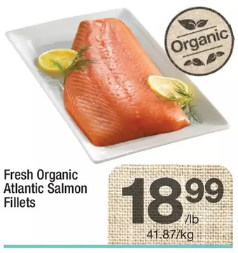 Highland Farms Fresh organic atlantic salmon fillets offer