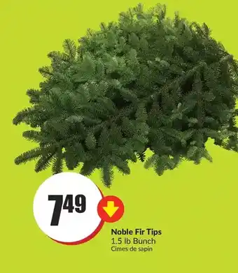 FreshCo Noble fir tips bunch offer