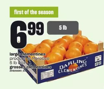 Independent Grocer Large clementines offer