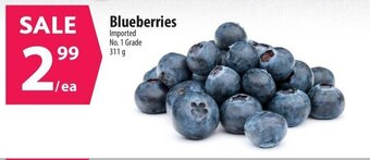 Co-op Blueberries offer