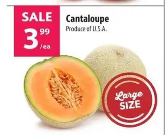 Co-op Cantaloupe offer