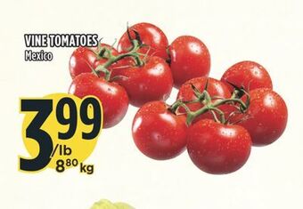 Marché Adonis Vine tomatoes offer