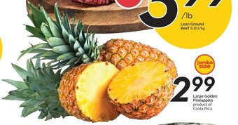Sobeys Large Golden Pineapples offer