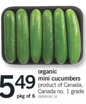 Fortinos Organic mini cucumbers offer