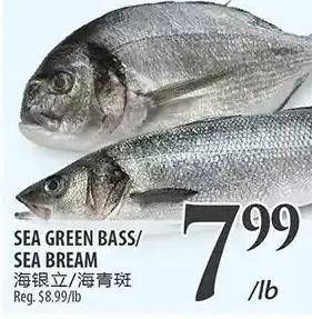 Al Premium Food Mart Sea green bass/sea bream offer