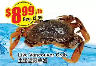 Btrust Supermarket Live vancouver crab offer