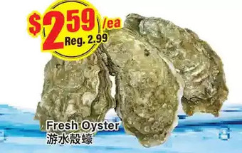 Btrust Supermarket Fresh oyster offer