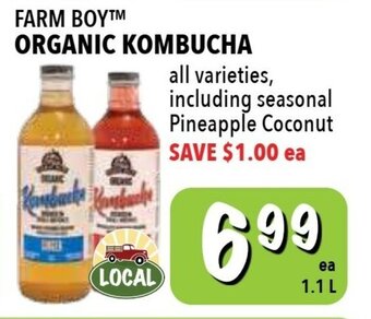 Farm Boy Organic Kombucha offer