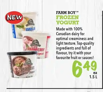 Farm Boy Frozen Yogurt offer
