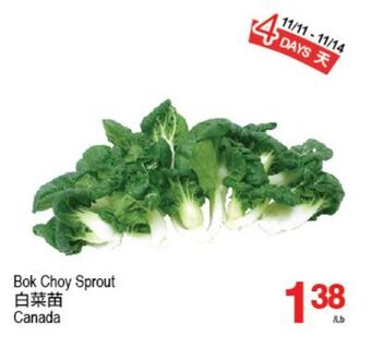 T&T Supermarket Bok choy sprout offer