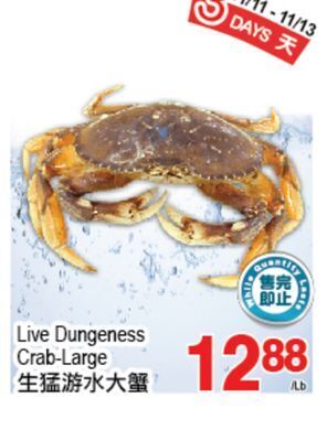 T&T Supermarket Live dungeness crab-large offer