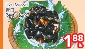 Superking Supermarket Live mussel offer