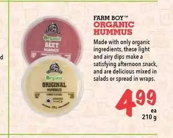 Farm Boy Organic Hummus offer