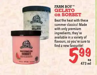Farm Boy Gelato or Sobret offer