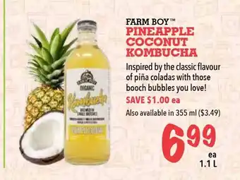 Farm Boy Pineapple Coconut Kombucha offer