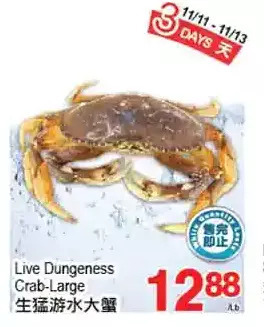 T&T Supermarket Live dungeness crab-large offer