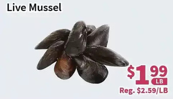 Blue Sky Supermarket Live mussel offer