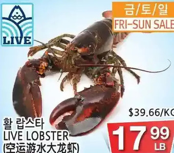 H-Mart Live lobster offer