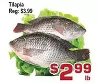 Top Food Supermarket Tilapia offer