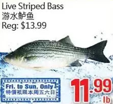 Hong Tai Supermarket Live striped bass offer