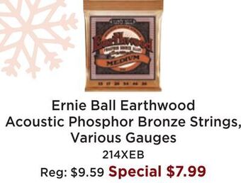 Long & McQuade Ernie ball earthwood acoustic phosphor bronze strings, various gauges offer