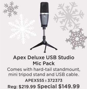 Long & McQuade Apex deluxe usb studio microphone package offer