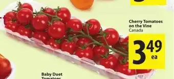 Cherry tomatoes on the vine