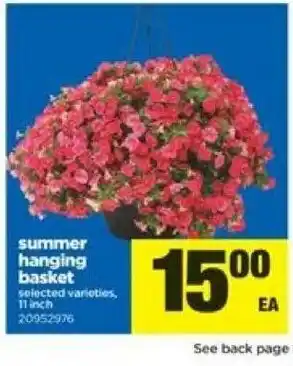 Real Canadian Superstore Summer hanging basket offer