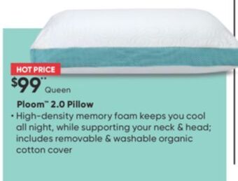 Sleep Country Ploom 2.0 pillow offer