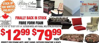 Len's Mill Stores Fibre form foam offer